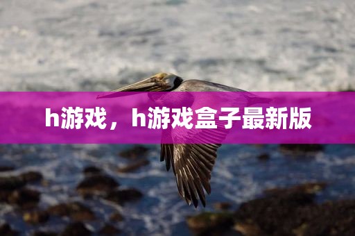 h游戏，h游戏盒子最新版