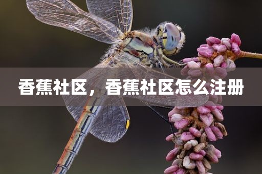 香蕉社区，香蕉社区怎么注册