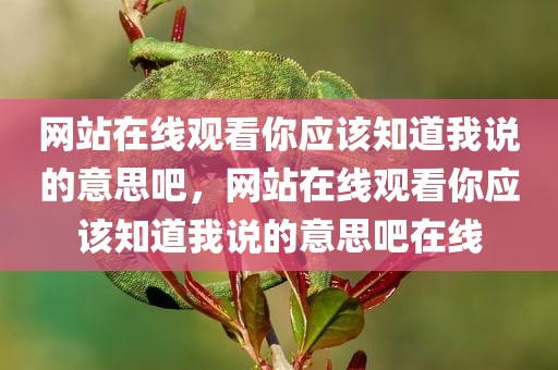 网站在线观看你应该知道我说的意思吧，网站在线观看你应该知道我说的意思吧在线