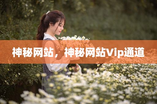 神秘网站，神秘网站Vip通道