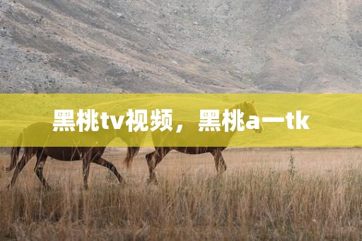 黑桃tv视频，黑桃a一tk