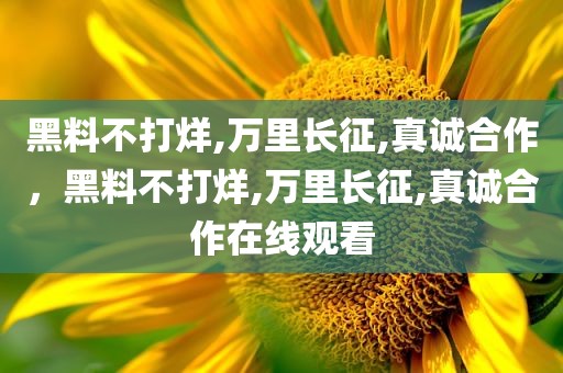 黑料不打烊,万里长征,真诚合作，黑料不打烊,万里长征,真诚合作在线观看