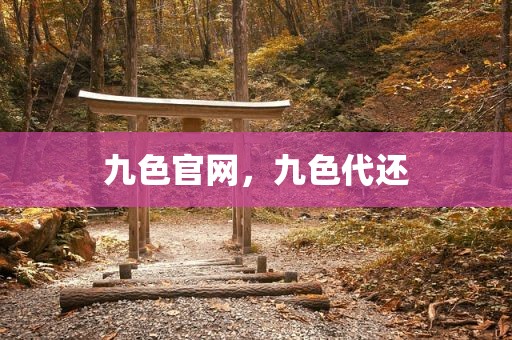 九色官网，九色代还