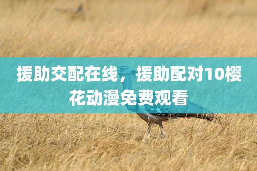 援助交配在线，援助配对10樱花动漫免费观看