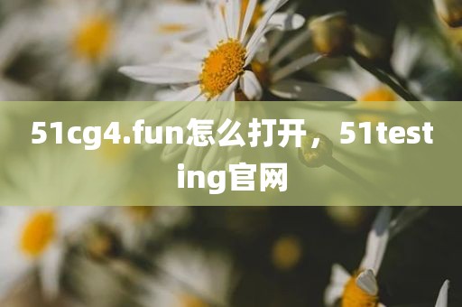 51cg4.fun怎么打开，51testing官网