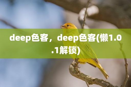 deep色客，deep色客(懒1.0.1解锁)