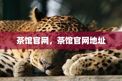茶馆官网，茶馆官网地址