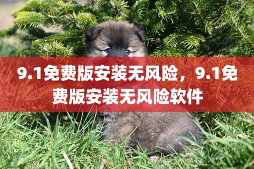 9.1免费版安装无风险，9.1免费版安装无风险软件