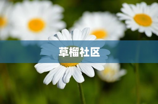 草榴社区