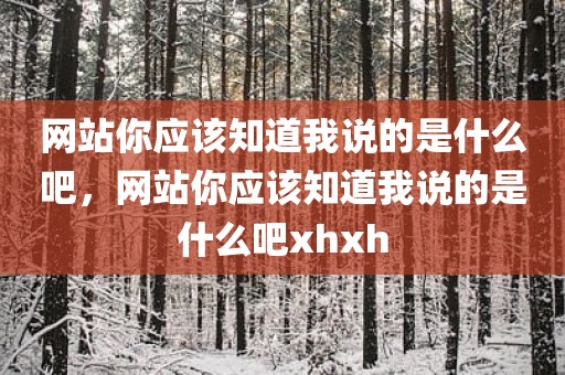 网站你应该知道我说的是什么吧，网站你应该知道我说的是什么吧xhxh