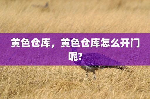 黄色仓库，黄色仓库怎么开门呢?