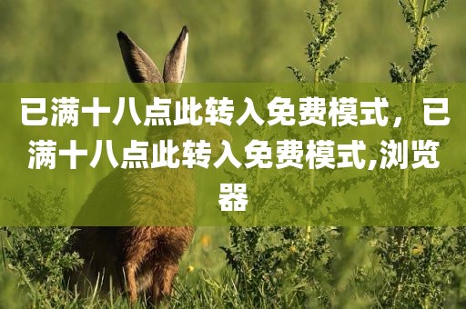 已满十八点此转入免费模式，已满十八点此转入免费模式,浏览器