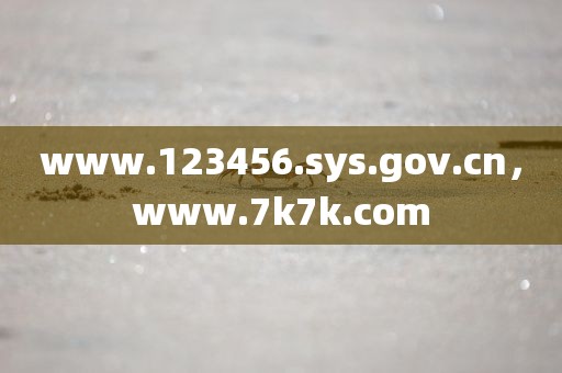 www.123456.sys.gov.cn，www.7k7k.com