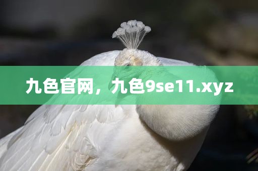 九色官网，九色9se11.xyz