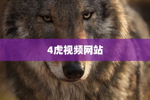 4虎视频网站