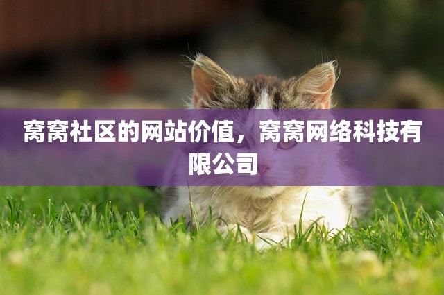 窝窝社区的网站价值，窝窝网络科技有限公司