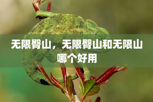 无限臀山，无限臀山和无限山哪个好用