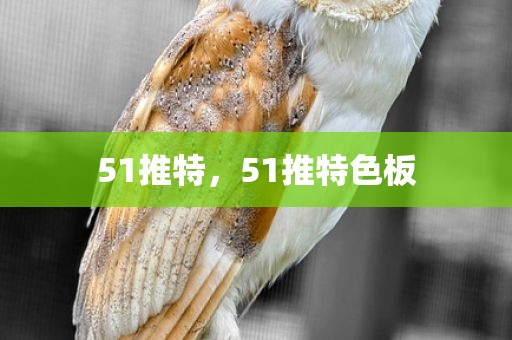 51推特，51推特色板