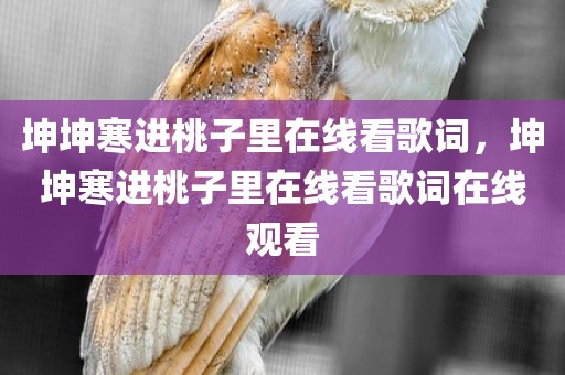 坤坤寒进桃子里在线看歌词，坤坤寒进桃子里在线看歌词在线观看