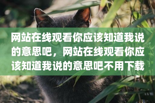 网站在线观看你应该知道我说的意思吧，网站在线观看你应该知道我说的意思吧不用下载