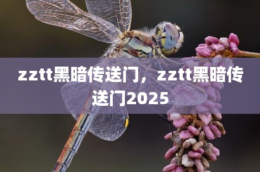 zztt黑暗传送门，zztt黑暗传送门2025