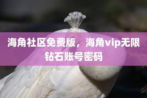海角社区免费版，海角vip无限钻石账号密码
