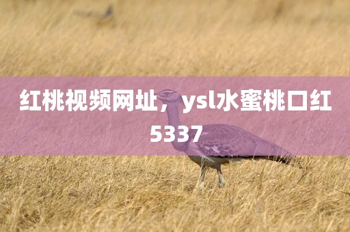红桃视频网址，ysl水蜜桃口红5337