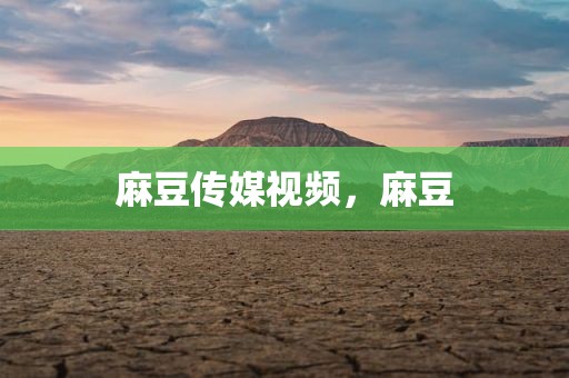 麻豆传媒视频，麻豆