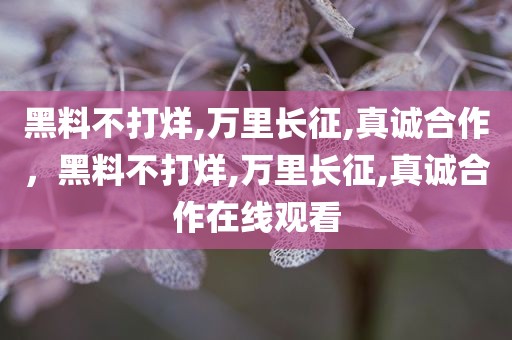 黑料不打烊,万里长征,真诚合作，黑料不打烊,万里长征,真诚合作在线观看