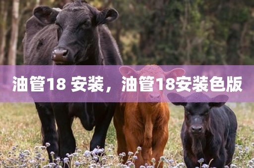 油管18 安装，油管18安装色版