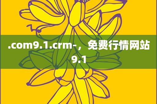 .com9.1.crm-，免费行情网站9.1