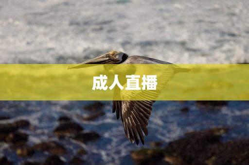 成人直播