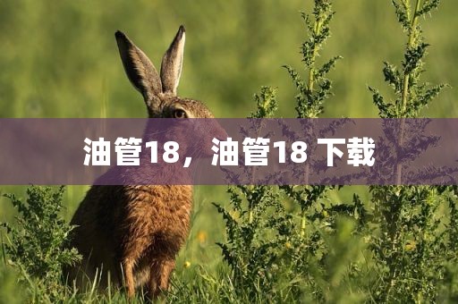 油管18，油管18 下载