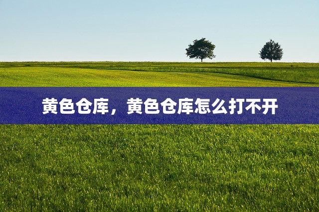 黄色仓库，黄色仓库怎么打不开