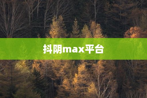 抖阴max平台