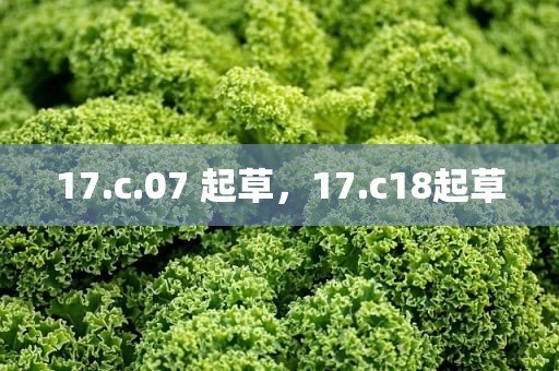17.c.07 起草，17.c18起草