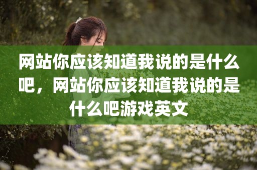 网站你应该知道我说的是什么吧，网站你应该知道我说的是什么吧游戏英文