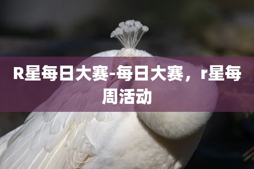 R星每日大赛-每日大赛，r星每周活动