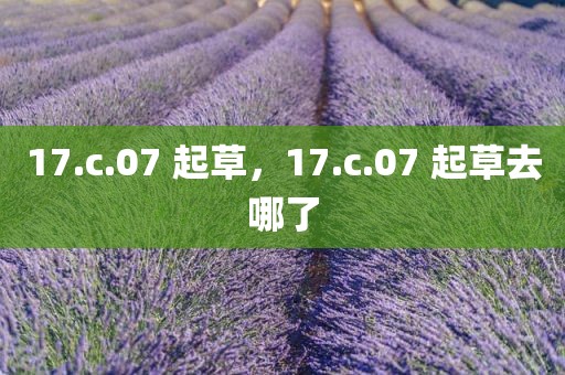 17.c.07 起草，17.c.07 起草去哪了