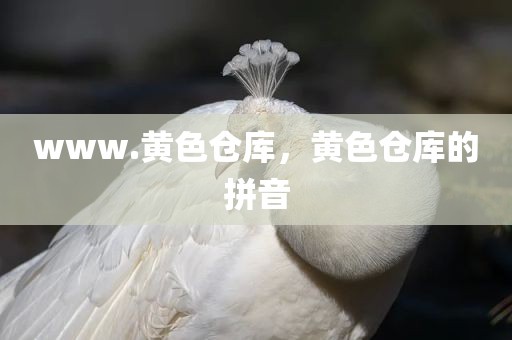 www.黄色仓库，黄色仓库的拼音