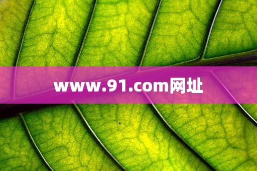 www.91.com网址