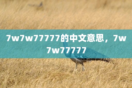 7w7w77777的中文意思，7w7w77777