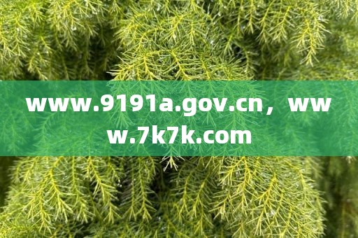 www.9191a.gov.cn，www.7k7k.com