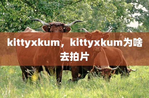 kittyxkum，kittyxkum为啥去拍片