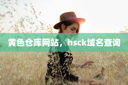 黄色仓库网站，hsck域名查询