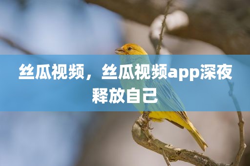 丝瓜视频，丝瓜视频app深夜释放自己