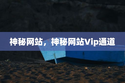 神秘网站，神秘网站Vip通道
