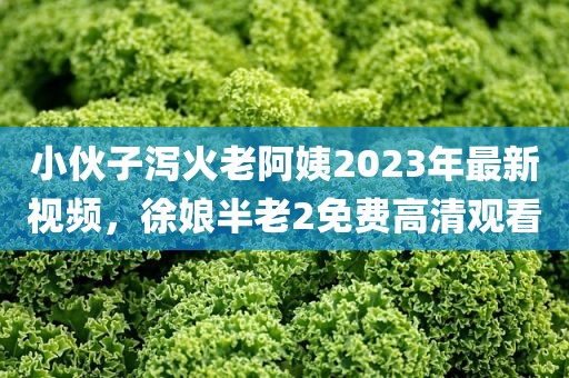 小伙子泻火老阿姨2023年最新视频，徐娘半老2免费高清观看