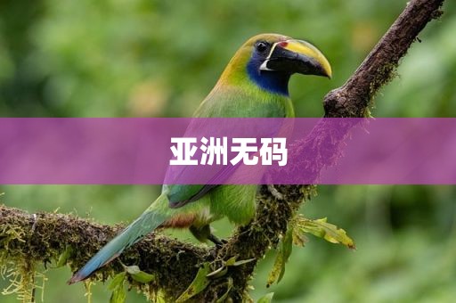 亚洲无码