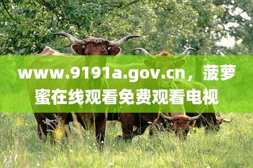 www.9191a.gov.cn，菠萝蜜在线观看免费观看电视
